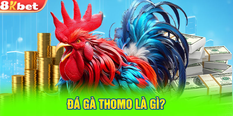 Đá gà thomo là gì?